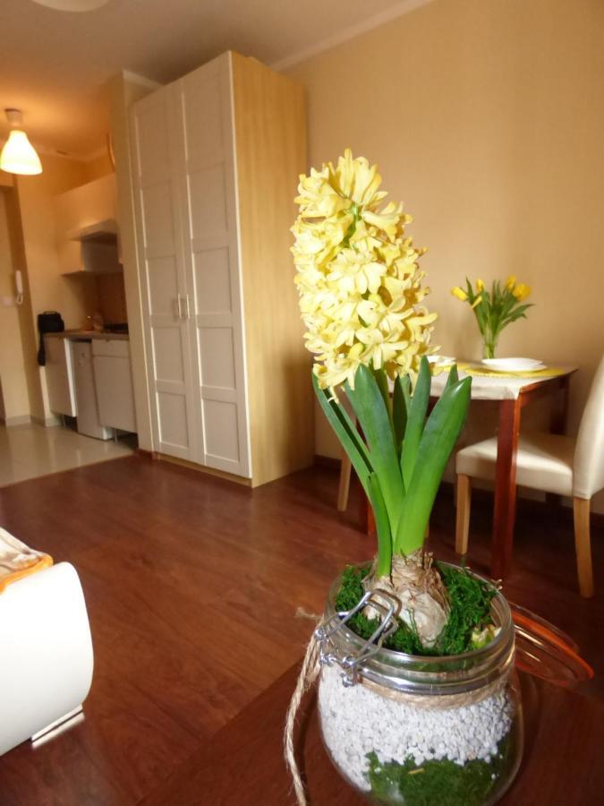 Nice Zamenhofa Apartment